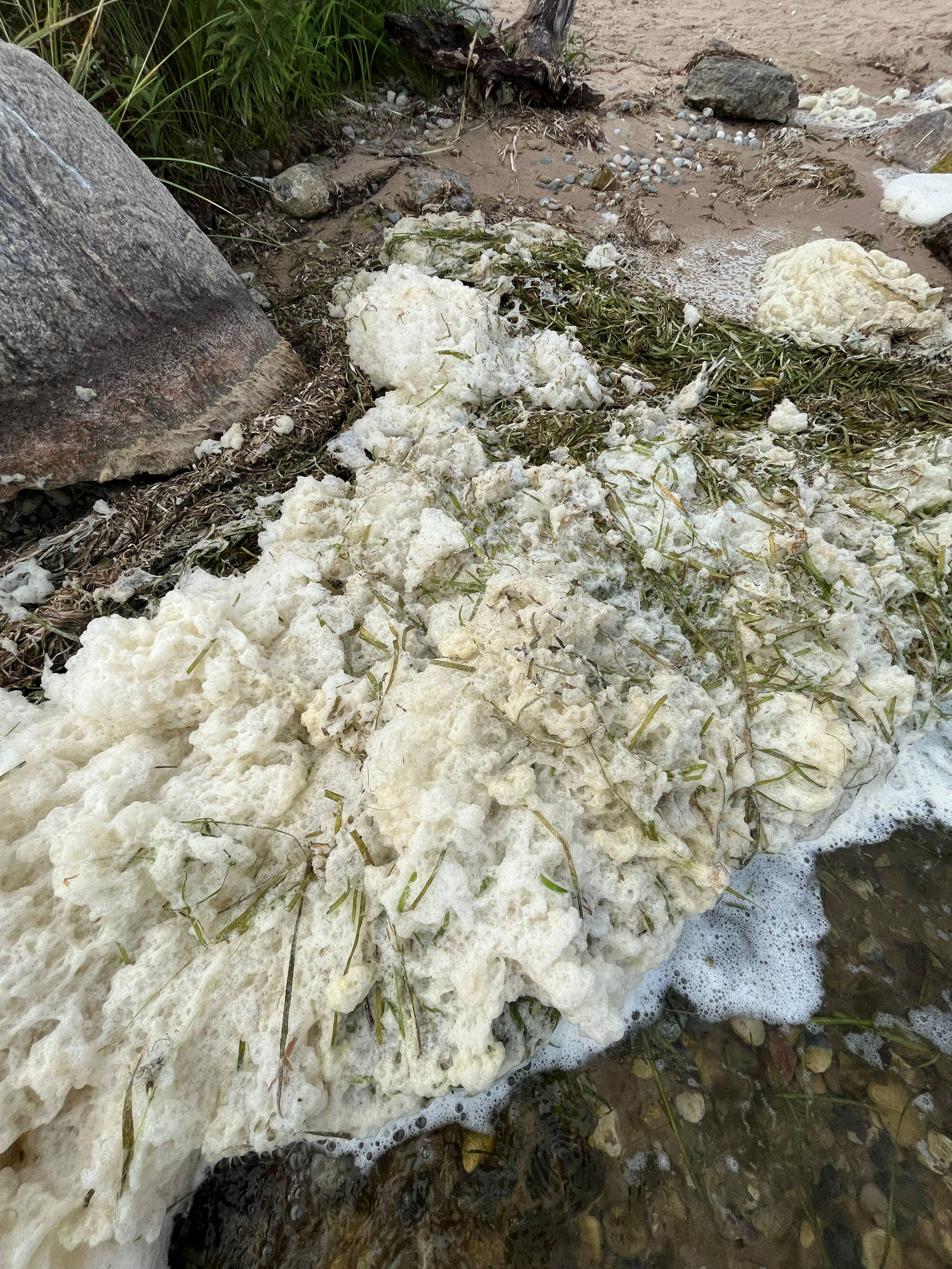 up close Pfas Foam accumulation on the shore of Harbor